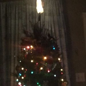 Meet your Posher, Rosa